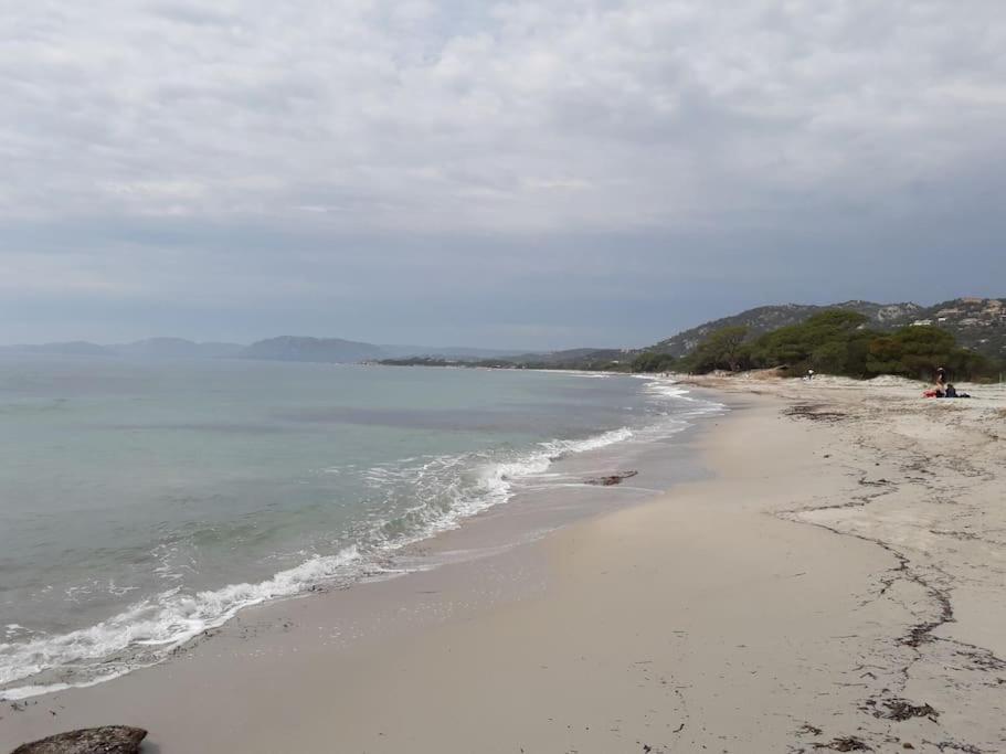 Studio 4 Pers Coeur Du Lavandou 5Mn A Pied Des Plages Le Lavandou Zewnętrze zdjęcie